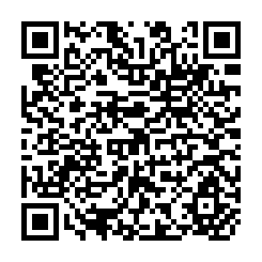 QR Code for Industrialization and the Distribution of Wealth in Peru