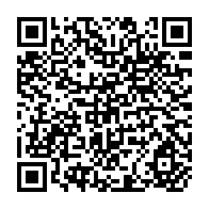 QR Code for Energy Use Patterns and Social Differences: A Mexican Village Case Study