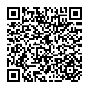 QR Code for Structural Patterns  in the Marketing of Selected Agricultural Products in Chile: The Position of small and Large Growers