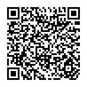 QR Code for Structural Patterns  in the Marketing of Selected Agricultural Products in Chile: The Position of small and Large Growers
