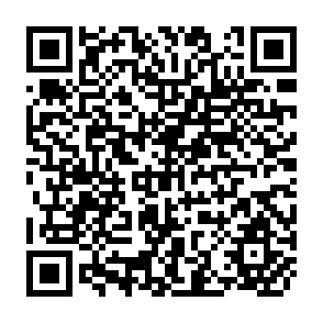 QR Code for Information Patterns and Practice Adoption among Brazilian Farmers
