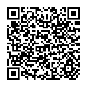 QR Code for Dilemma of Absorbing the Poor in the Urban Economy: Looking Beyond the Cities in India