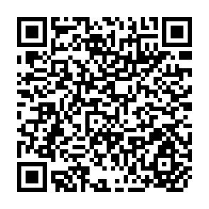 QR Code for Bulk Handling of Paddy and Rice in Malaysia: an Economic Analysis