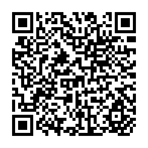 QR Code for The Elusive Target