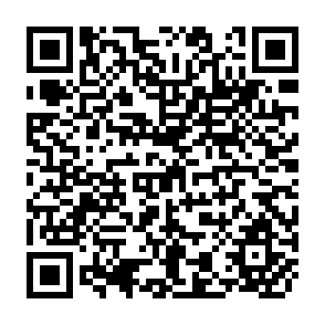 QR Code for The Impact of Development Strategies on the Rural Poor