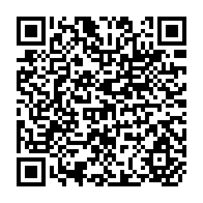 QR Code for Rural Land Invasions in Colombia