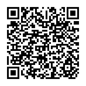 QR Code for Rapid Assessment of Community Nutrition Problems