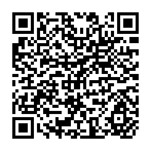QR Code for Agricultural Project Management in Sierra Leone and Zambia