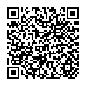 QR Code for The Political Economy of Growth