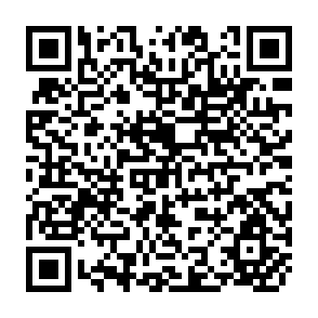 QR Code for Guiding Principles for Developmental Social Welfare Policies and Programmes in the Near Future