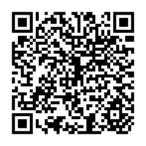 QR Code for Analysis of Trends and Projections of Food Production and Consumption in Brazil and Nigeria