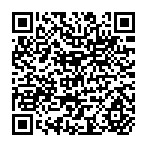 QR Code for Cost-Benefit Analysis