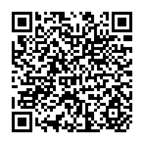 QR Code for Networking