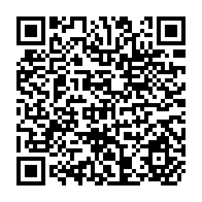 QR Code for Milk and Milk Products
