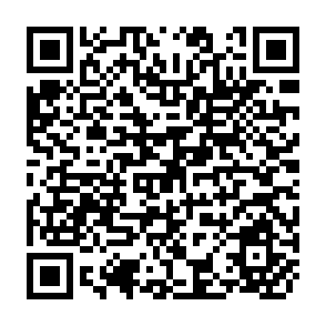 QR Code for Potential Effects of Income Redistribution on Economic Growth
