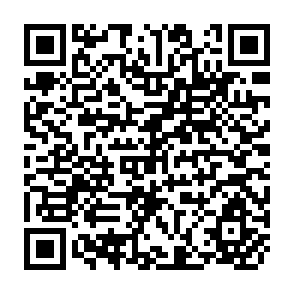 QR Code for An Optimal Macroeconomic Planning Model for the Bangladesh Economy