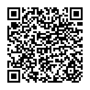 QR Code for Elasticity and Buoyancy of Bangladesh Tax Structure