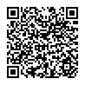QR Code for Economic Aspects Of Low Labour-Income Farming