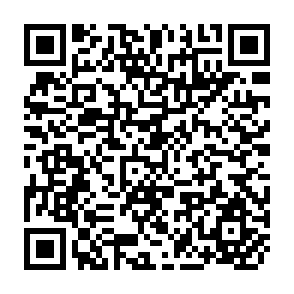 QR Code for The Formation of Food Prices and Their Behaviour in Times in Inflation