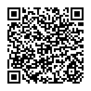QR Code for Dimensions in Management