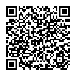 QR Code for Dimensions in Management