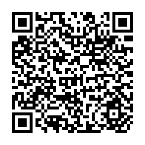 QR Code for The Theory of Economic Development