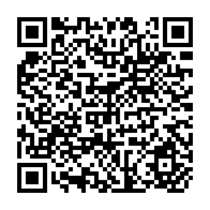 QR Code for Prospects and Problems in Cooperation among Small Nations in South Asia