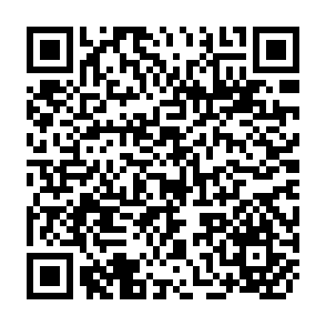 QR Code for Proletarianisation in the third world