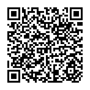 QR Code for The Labour Market for Agricultural Graduates in India A Benefit- Cost Case Study of G.B. Plant University of Agriculture And Technology
