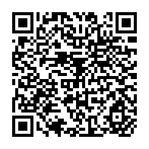 QR Code for Food AID Flows- Directors - Uses