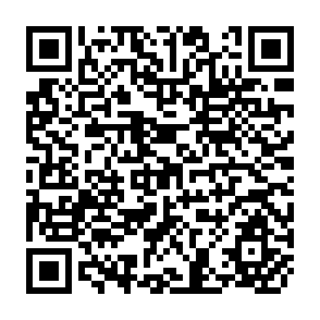 QR Code for Sarec's Forestry and Environment Programme Background and Guidelines