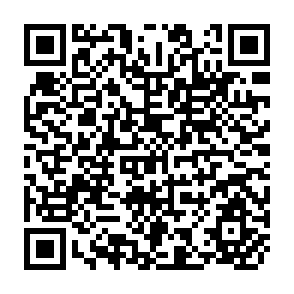 QR Code for Food Needs of Development Countries: Projection of Production and Consumption to 1990