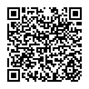 QR Code for Global Food Balances and Food Security