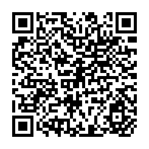 QR Code for Transmigration