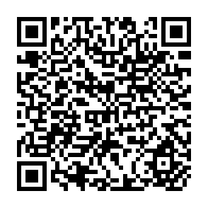 QR Code for Transmigration