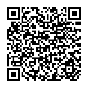 QR Code for Institutional Options and Multiple Sources of Agricultural Innovation: Evidence from an Ecuadorean Case Study