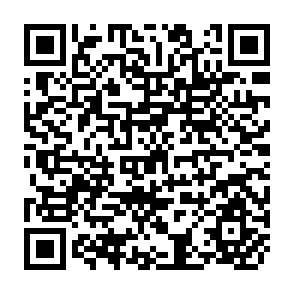 QR Code for The Impact of New Crop Technology on the Agricultural Division of Labor in a West African Setting