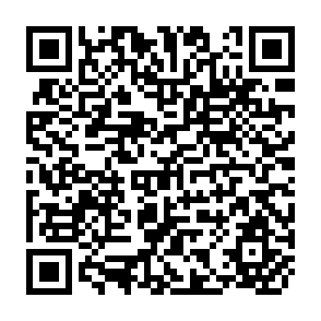 QR Code for Pressures on Europe's common agricultural policy