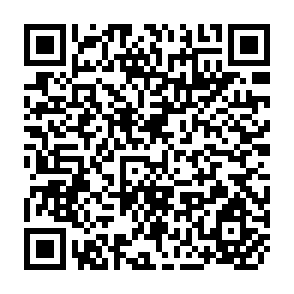 QR Code for Oraganization ofTrade in one Tropical Municipality of Vera Cruz,Mexico
