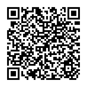 QR Code for Social Security in South Asia