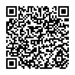 QR Code for Surplus labor and economic development: The Guatemalan Case