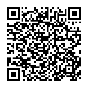 QR Code for Computer Organization and Programming