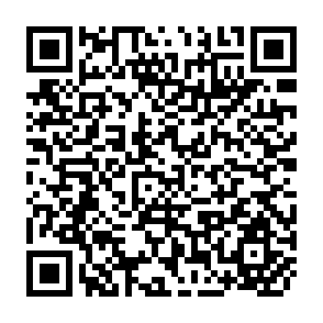 QR Code for An Introduction to Software Physics