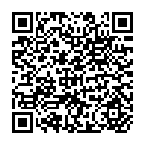 QR Code for From Paragraph To Essay