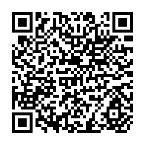 QR Code for The Demand for Public Storage of Wheat in Pakistan