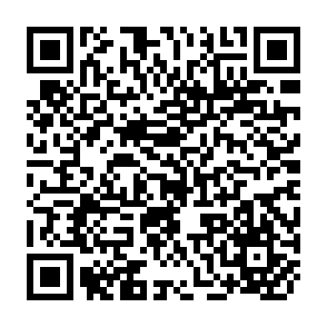 QR Code for Power and leadership in pluralist systems