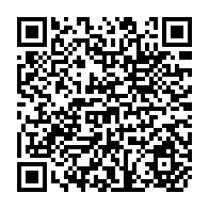 QR Code for The Political Economy of Underdevelopment