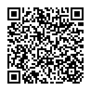 QR Code for The Writer's Rhetoric and Handbook