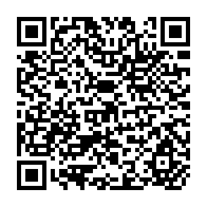 QR Code for Development Assistance