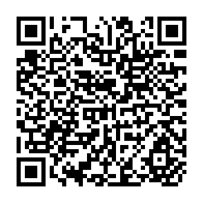 QR Code for In Search of Agricultural Policy reform in Japan
